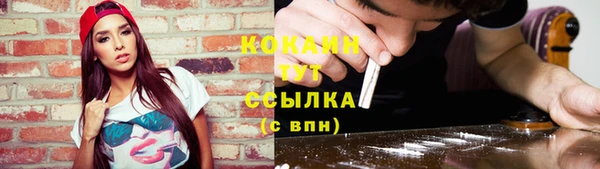 круглые Абаза